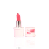 Fashion Lip Lapiz Labial (002)