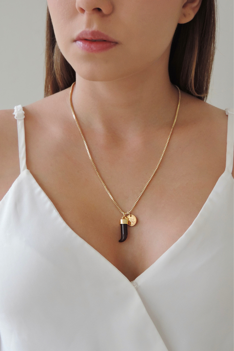 Colar Elo Veneziano Dente de Leão e Medalha - comprar online