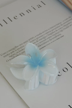 Imagem do Presilha Flor Degrade