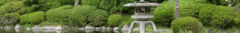 Banner da categoria Vaso para Bonsai