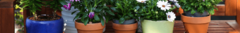 Banner da categoria Vaso Cachepot