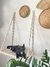 Cama de Gato tradicional - comprar online