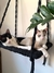 Cama de Gato tradicional na internet