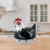 Timer de cocina Gallina en internet