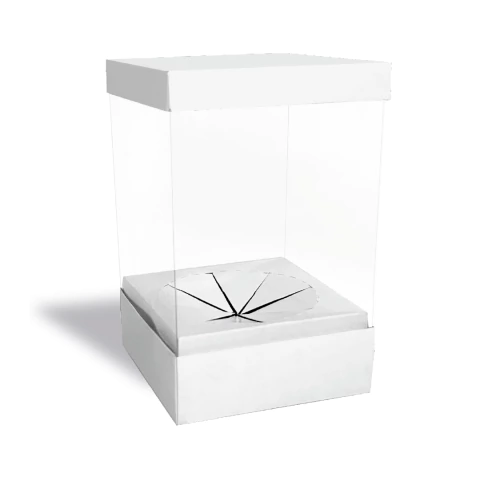 5 Caixas Para Ovo Em Pé - Dupla Face 500g/1kg (bwb) - comprar online