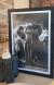 CUADRO ELEPHANT - comprar online