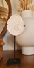 ADORNO SEASSHELL en internet