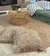 ALFOMBRA DE YUTE OBLACK