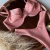 Conjunto Meia-Taça Rose - comprar online