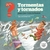 TORMENTAS Y TORNADOS