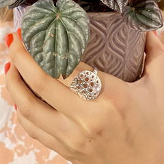 Anillo Bruma en internet