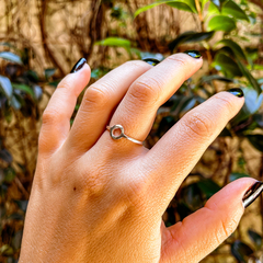 Anillo REC