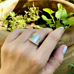 Anillo Dheli - Paterson