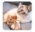 Juguete para Gato CanCat Peluche Gato Eco Toy - comprar online