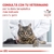 Royal Canin Fibre Response Feline - 2 kg - Zona Mascotas