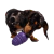 Soft Juguete Glotoni para Perros