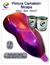 pintura tornasol