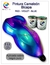 PINTURA CAMALEON