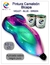 pintura camaleon 7 colores