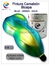 pintura tornasol camaleon