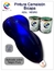 camaleon azul negro