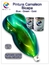 pintura camaleon