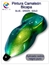 pintura tornasol camaleon