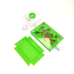 Kit Reinero con mini forrajeo - Mirmecologia Argentina