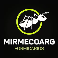 Colonia Brachymyrmex - tienda online