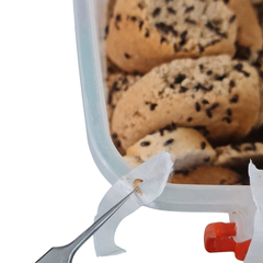 Gorgojos Chinos Alimento vivo x50u en internet