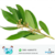 HIDROLATO DE LAUREL X 250 CC