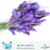 HIDROLATO DE LAVANDA X 250 CC