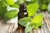 ACEITE ESENCIAL MENTA X 30 CC