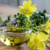 ACEITE DE ONAGRA (PRIMULA) X 100 ML