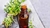 ACEITE ESENCIAL TOMILLO X 10 CC