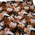 Venecia Buffing Negro Flores Marron/celeste en internet