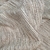 Sastreria Chanel Beige