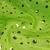 Organza Cristal Con Brillo Verde Manzana Circulos