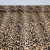 Crepe Cey Animal Print Animal Print Beige Grande - comprar online