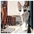 Red Monofilamento 0.9 Blanco - comprar online