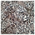Sedita Animal Print Animal Print Beige