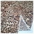 Sedita Animal Print Animal Print Beige - Tienda Los Angeles - Telas y Blanco Hogar