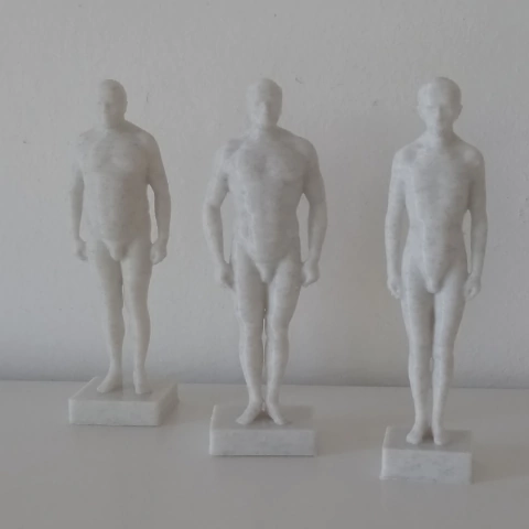 Esculturas Somatotipo - Antropometria Educación