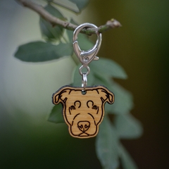 Tag de Identificação Pitbull