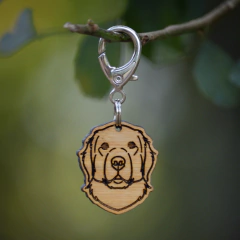 Tag de Identificação Golden Retriever