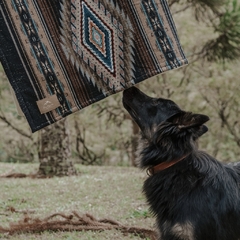 BAZAR | Manta para Pets - (PRODUTO PROTÓTIPO) na internet