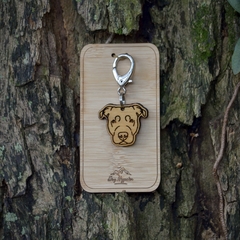 Tag de Identificação Pitbull - comprar online