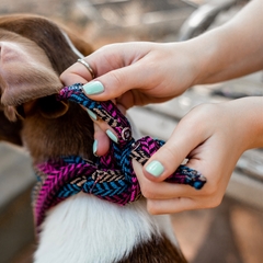 Bandana para cachorro - Alecrim - Dog Hypster Bandanas para Cachorros