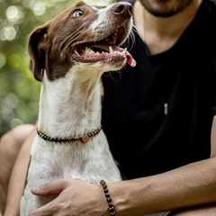 Pulseira pro Humano - Olho de Tigre - comprar online
