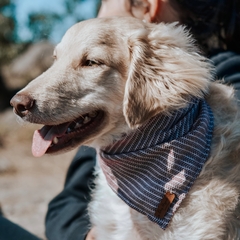 Bandana para cachorro - Cambuí na internet